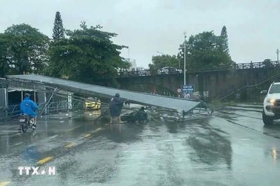 Quảng Ninh: Khắc phục hậu quả bão số 1, sớm khôi phục cấp điện cho Cô Tô