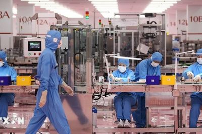 Doanh nghiệp Nhật Bản hướng tới năm lợi nhuận kỷ lục thứ 6 liên tiếp