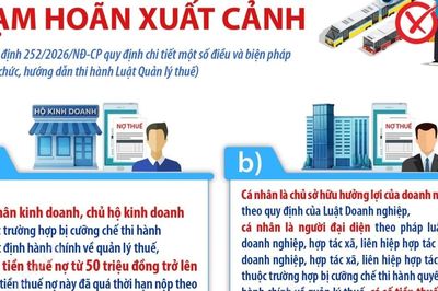 Các trường hợp tạm hoãn xuất cảnh quy định tại Luật Quản lý thuế
