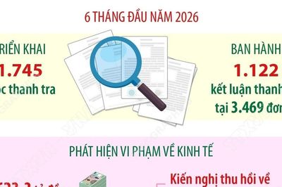 Thanh tra phát hiện vi phạm về kinh tế hơn 44.600 tỷ đồng trong 6 tháng