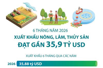 Sáu tháng năm 2026: Xuất khẩu nông, lâm, thủy sản đạt gần 35,9 tỷ USD