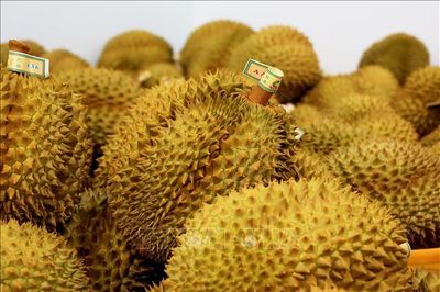Nông sản Việt thêm cơ hội chinh phục thị trường nhờ truy xuất nguồn gốc