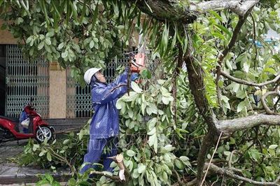Quảng Ninh khắc phục hậu quả bão số 1, thiệt hại ước khoảng 20 tỷ đồng
