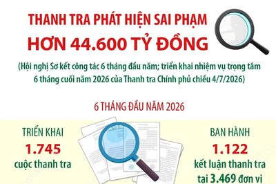 6 tháng đầu năm 2026: Thanh tra phát hiện vi phạm về kinh tế hơn 44.600 tỷ đồng