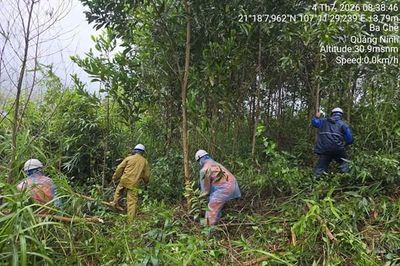 Khôi phục cấp điện cho hơn 66.000 khách hàng sau bão số 1