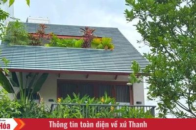 'Khoảng xanh' trong những ngôi nhà phố
