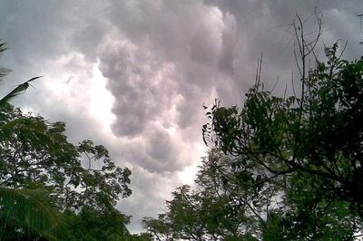Cơn mưa đằng đông