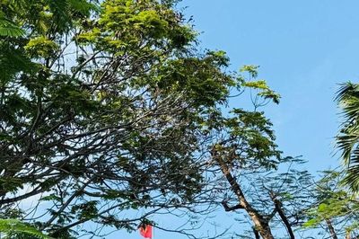 Khẽ chạm thanh xuân