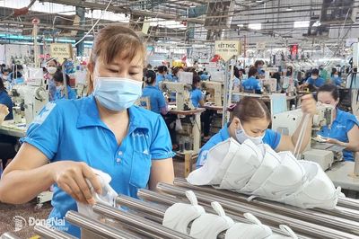 Hơn 960 doanh nghiệp quay trở lại hoạt động