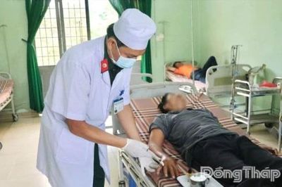 Cảnh báo nguy cơ rắn độc cắn tăng cao trong mùa mưa