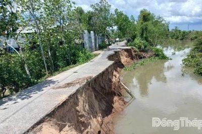 Đồng Tháp: Chủ động triển khai các giải pháp ứng phó sạt lở bờ sông, kinh, rạch