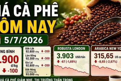 Giá cà phê hôm nay 5/7: Giảm nhẹ, Robusta London đỏ sàn