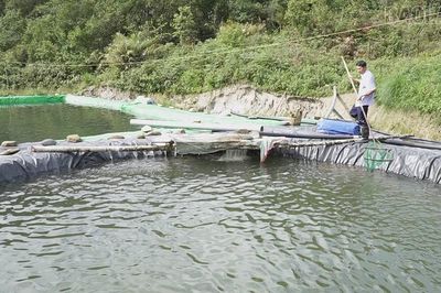Khi niềm tin mở lối hoàn lương