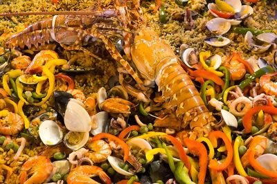 Mùa hải sản tươi ngon