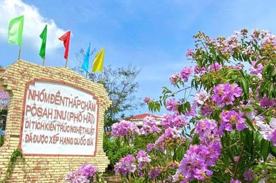 Sắc tím bằng lăng dưới chân tháp cổ làm say lòng du khách