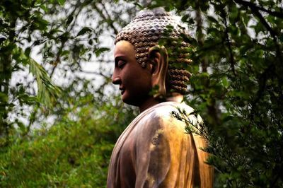 Cuộc đời Đức Phật qua kinh Trung bộ