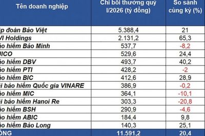Kinh doanh 'chu trình ngược', doanh nghiệp bảo hiểm tìm thế cân bằng