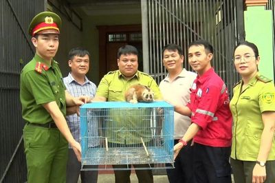 Quyết liệt ngăn chặn khai thác thủy sản tận diệt, săn bắt chim hoang dã