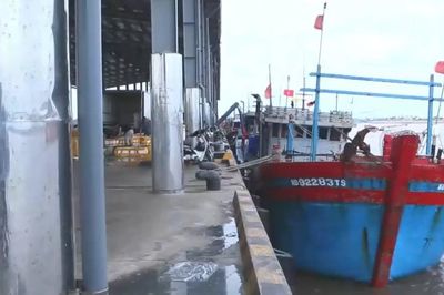 Phần lớn tàu thuyền Ninh Bình đã vào nơi tránh trú an toàn