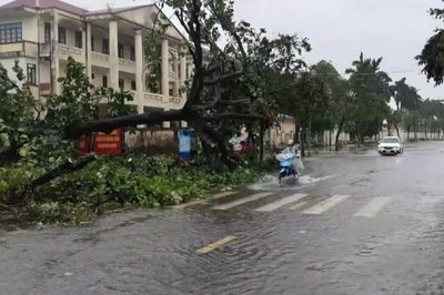 Quảng Ninh tổng lực khắc phục hậu quả bão số 1