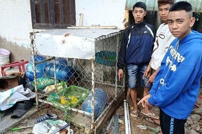 Điều tra vụ án liên quan đến Nguyễn Phi Hùng