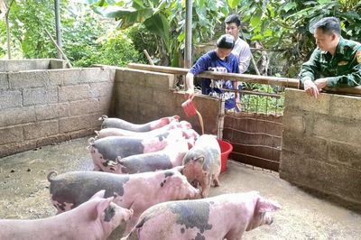 'Gieo mầm' no ấm nơi phên dậu Tổ quốc