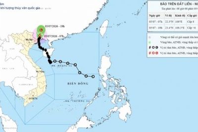 Bão số 1 suy yếu, Quảng Ninh vẫn mưa lớn, gió mạnh