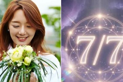Vì sao ngày 7/7 được coi là ngày đặc biệt đẹp? Nên làm gì trong ngày này?