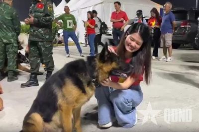 Đội quân khuyển của đoàn Việt Nam tham gia cứu hộ động đất tại Venezuela: 'Ngọn hải đăng của hy vọng'