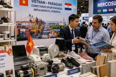 Nền tảng số tăng hiệu quả hỗ trợ doanh nghiệp mở rộng thị trường xuất khẩu