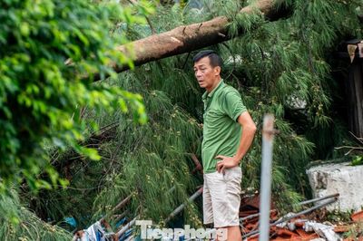 Tan hoang khu du lịch Trà Cổ sau bão