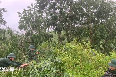 Thời tiết ngày 6/7: Bắc Bộ và Bắc Trung Bộ cục bộ có mưa to trên 100mm