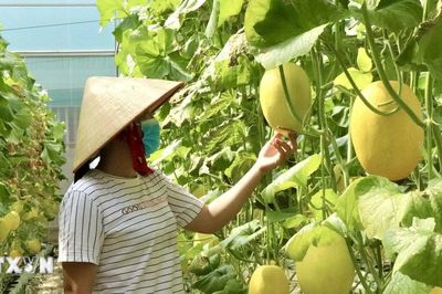 Bộ Nông nghiệp và Môi trường công bố kế hoạch đổi mới sáng tạo thời kỳ 2026-2030