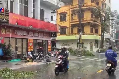 Bão số 1 khiến gần 90.000 khách hàng bị mất điện