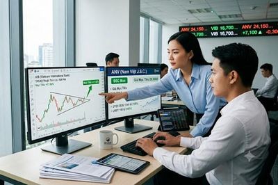 Cổ phiếu ANV và VIB: Động lực nào giúp CTCK kỳ vọng tăng trưởng mạnh?