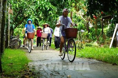 Khi nông dân đất Sen hồng đưa quả xoài đi làm du lịch