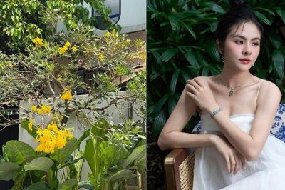 Biệt thự 1.000m2 ngập tràn sắc xanh của diễn viên Vân Trang