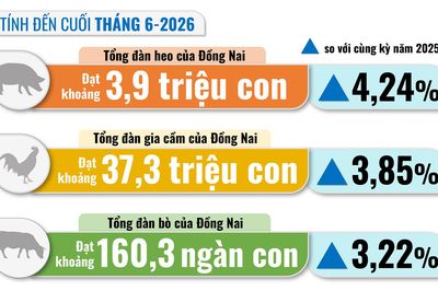 [Infographic] Con số và sự kiện ngày 6-7-2026