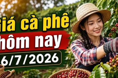 Giá cà phê hôm nay 6/7: Đi ngang ở mức 92.900 đồng/kg