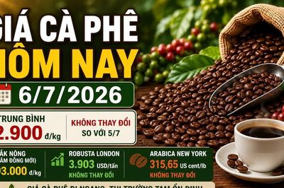 Giá cà phê hôm nay 6/7: Tây Nguyên đi ngang, chờ thay đổi tuần mới