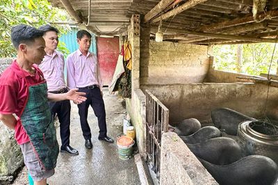 Vốn vay ưu đãi tạo sinh kế bền vững ở vùng cao