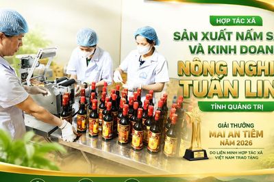 Giọt mắm chay và hành trình của những người không ngại khó