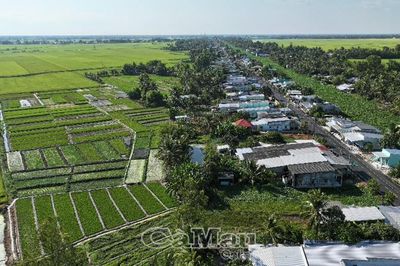 Vĩnh Thanh kiến tạo 'kinh tế đồng quê' từ lợi thế bản địa