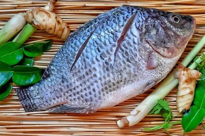 Đi chợ thấy loại cá này đừng ngần ngại mua: Giá chỉ bằng 1/10 cá hồi nhưng lượng protein còn cao hơn, được nhiều nước 'săn đón'