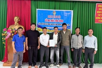 Lâm Đồng: Quảng Trực ra mắt mô hình chuyển đổi số trong nông nghiệp