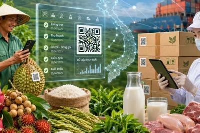 Truy xuất nguồn gốc nông sản: 'Tấm hộ chiếu số' đưa nông sản Việt vươn ra thị trường toàn cầu