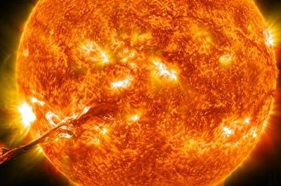 Tảo biến đổi gen có thể thu giữ vi nhựa và hỗ trợ làm sạch nước thải