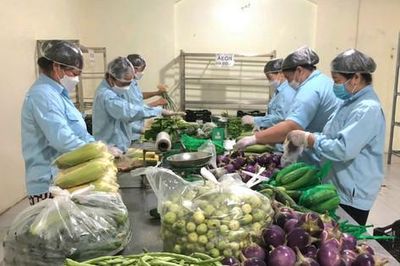 Những cánh đồng xanh sạch ở Bát Tràng