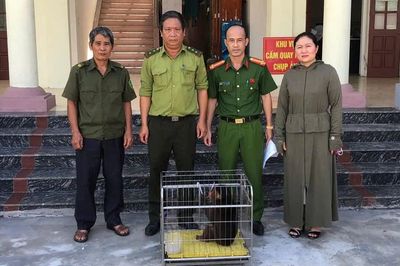 Người dân Hải Phòng giao nộp nhiều động vật quý hiếm