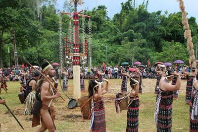 Những 'cây đại thụ' giữ hồn cốt Cơ tu